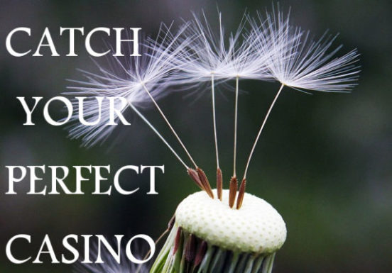 Your Perfect Online Casino
